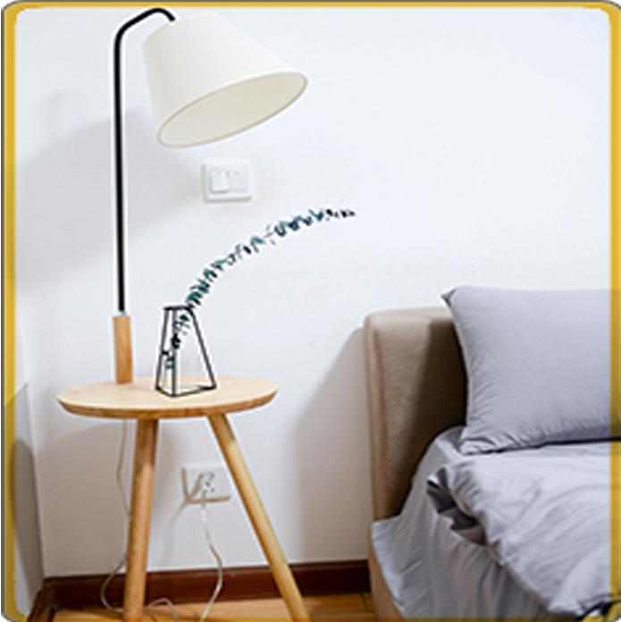 OLESTAYS room